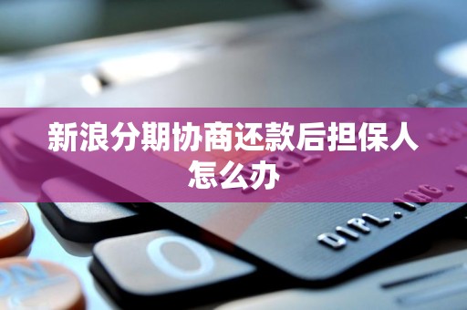 新浪分期協商還款后，信用擔保人如何應對與解除擔保責任？